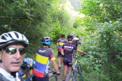 IMG_20180728_170224-0011