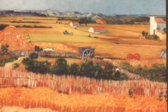 Dagani - Falso VanGogh -HarvestALaCrau
