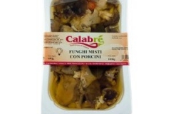Funghi misti con porcini 1 Kg