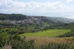 castiglione13