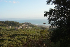 castiglione14