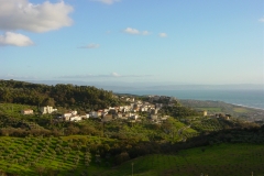 castiglione15