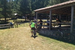 IMG_20190721_114226_small