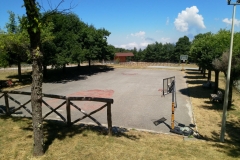 IMG_20190721_114824_small