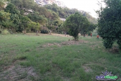 IMG_20180813_193559_piccola_logo
